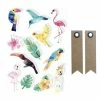 Graine Créative 12 Stickers 3D Oiseaux Tropicaux 6 Cm + 20 étiquettes Kraft Fanion