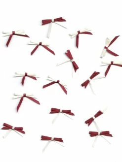 Passioncreationcollection 16 Nœuds En Ruban De Satin 3 Mm Bordeaux/crème Scrapbooking Couture
