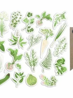 AUCUNE 20 Formes Découpées Potager + 20 étiquettes Kraft Fanion