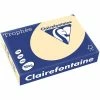 250 Feuilles A4 - 160 G - Chamois - Trophee Clairefontaine - 1040C