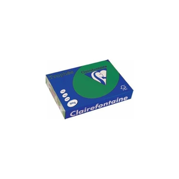 CLAIREFONTAINE 250 Feuilles A4 160G Couleur Vives Vert Sapin Trophée 1019C 1 CLAIREFONTAINE 250 Feuilles A4 160G Couleur Vives Vert Sapin Trophée 1019C