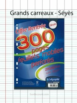 300 Feuillets Mobiles Perforées 21X29,7 A4 Grands Carreaux Seyes 90G Clairefontaine