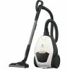 Electrolux Pure D8.2 PD82-ALRG - Aspirateur Avec Sac