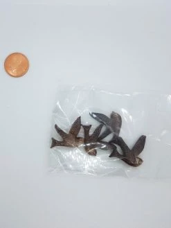 Passioncreationcollection 4 Oiseaux En Fimo à Coller Pour Scrapbooking 2,4x2,3x0,4 Cm 0-O-M 5 Passioncreationcollection 4 Oiseaux En Fimo à Coller Pour Scrapbooking 2,4x2,3x0,4 Cm 0-O-M -V-Zug shop 4 oiseaux en fimo a coller pour scrapbooking 24x23x04 cm 0 o m p 3