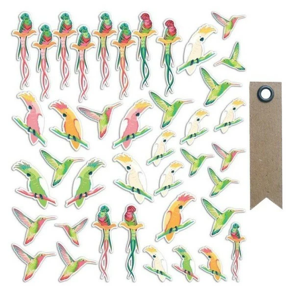 AUCUNE 40 Formes Découpées Oiseaux Tropicaux + 20 étiquettes Kraft Fanion 1 AUCUNE 40 Formes Découpées Oiseaux Tropicaux + 20 étiquettes Kraft Fanion