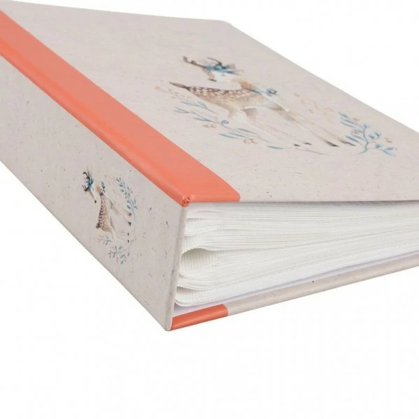 Album Photos 200 Pochettes Ostaria 31994 2 Album Photos 200 Pochettes Ostaria 31994 â Image 2