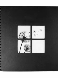 Album Photos 400 Places Traditionnel Ostaria 32000