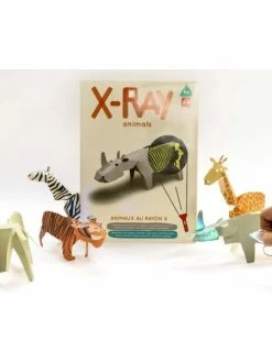 KoaKoa Animaux Au Rayon X