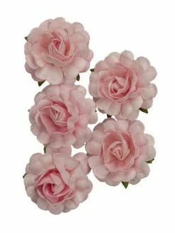 HOBBY FUN Assortiment De 5 Roses + Tige En Papier De Murier Décoration Scrapbooking 505