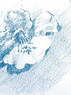 CLAIREFONTAINE Bloc à Dessin à Grain 180g - A3 - 30 Pages -V-Zug shop bloc a dessin a grain 180g a3 30 pages p 3