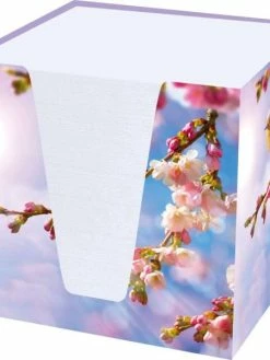 Bloc Cube "Rouge-gorge", Carton Rigide, Garni - RNK Verlag