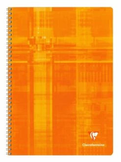 Cahier 21x29,7 - 100 Pages - Quadrillé 4x4 - Clairefontaine