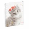 Exacompta Cahier De Textes "Funny Pets" - Chaton