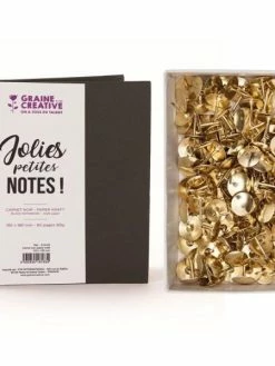 Youdoit Carnet Noir 18 X 13 Cm à Spirales Papier Kraft + 150 Punaises Dorées