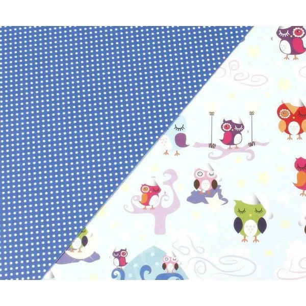 Czech Beads Exclusive Carte-Photo A4 Hiboux Bleu Clair 300g / M2, Fabrication De Cartes, Document D'information, Journal D 1 Czech Beads Exclusive Carte-Photo A4 Hiboux Bleu Clair 300g / M2, Fabrication De Cartes, Document D'information, Journal D