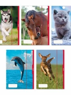 Herlitz Chemise à Dessins Motif : Animaux, A3