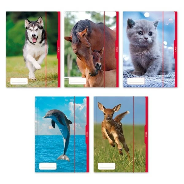 Herlitz Chemise à Dessins Motif : Animaux, A3 1 Herlitz Chemise à Dessins Motif : Animaux, A3