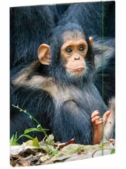 Chemise à élastique "Relaxed Monkey" - A4 - RNK Verlag