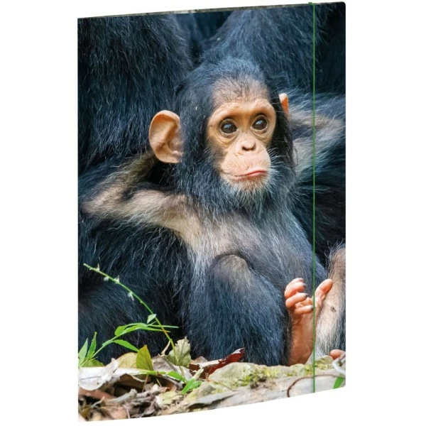 Chemise à élastique "Relaxed Monkey" - A4 - RNK Verlag 1 Chemise à élastique "Relaxed Monkey" - A4 - RNK Verlag