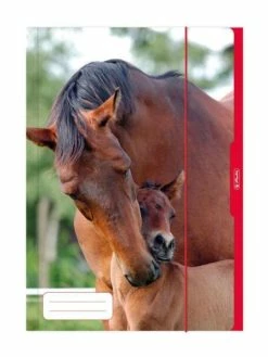 Chemise De Rangement "Cheval", A3 - Herlitz