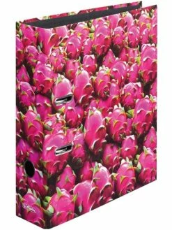 Herlitz Classeur à Levier "maX.file" - A4 - 80 Mm - Fruit Du Dragon