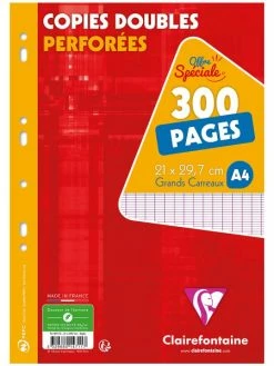 CLAIREFONTAINE Copies Doubles Perforées A4 - Grands Carreaux - 300 Pages