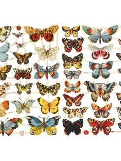 Creativ Company Die Cut Vintage - Papillons - 2 Feuilles