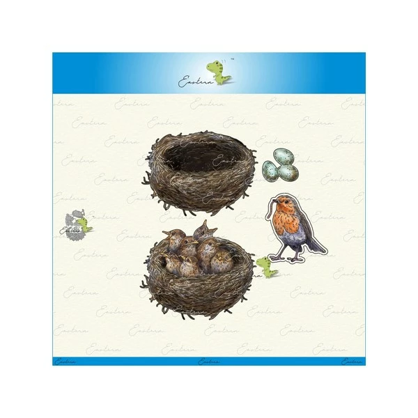 AUTRE Dies Nid D'oiseaux 1 AUTRE Dies Nid D'oiseaux