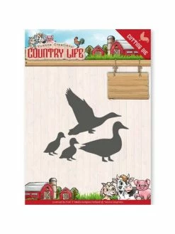 AUTRE Dies Oies Et Canards