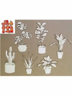 AUTRE Dies Plantes D'intérieur