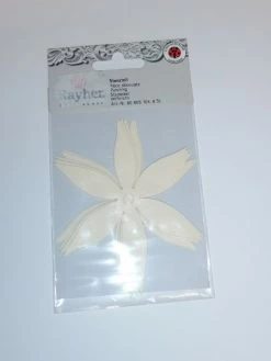 Rayher Feuille Beige à Décorée