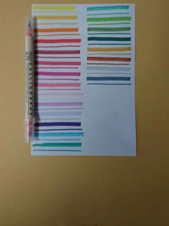 Feutre Calligraphy Zig Memory System Saumon