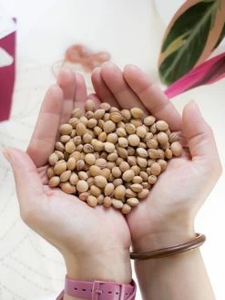 Pause Moderne Kit DIY Bouillotte Aux Noyaux De Cerise -V-Zug shop kit diy bouillotte aux noyaux de cerise p 3