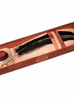 Aladine Kit Plume Des écrivains Noire Et Encrier