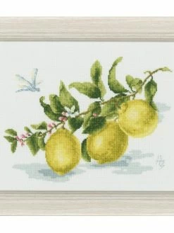 Kit Point De Croix Golden Fleece - Branche De Citron S / FS006