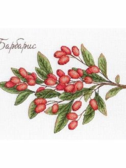 Artibalta Kit Point De Croix MP Studia- Épine-vinette SNV-619 15*20 Cm