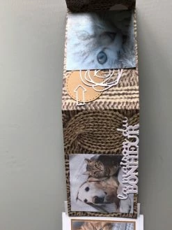 Cemoiquilaifee Kit Scrapbooking Mini Album Chats -V-Zug shop kit scrapbooking mini album chats p 3