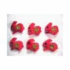 La Boutique D'Isacrea LOT 6 APPLIQUES : Lapin Rouge 40mm