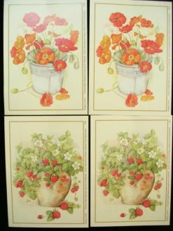 La Boutique D'Isacrea LOT DE 4 CARTES CARTONNES 9*13CM : Fleurs Et Fraisiers