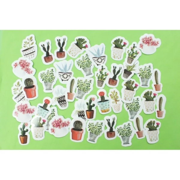 La Boutique D'Isacrea LOT DE 48 STICKERS ( Pack De 12*4 ): Cactus En Pot 1 La Boutique D'Isacrea LOT DE 48 STICKERS ( Pack De 12*4 ): Cactus En Pot