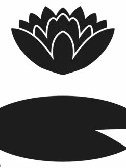 Matrice De Coupe Nénuphar - Artemio Lovely Swan - 7 X 4 Cm - 1 Pce 3 Matrice De Coupe Nénuphar - Artemio Lovely Swan - 7 X 4 Cm - 1 Pce -V-Zug shop matrice de coupe nenuphar artemio lovely swan 7 x 4 cm 1 pce p 2