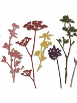 Matrice Sizzix Thinlits - Fleurs Sauvages - 7 Pcs 4 Matrice Sizzix Thinlits - Fleurs Sauvages - 7 Pcs -V-Zug shop matrice sizzix thinlits fleurs sauvages 7 pcs p 2