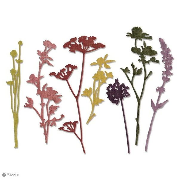 Matrice Sizzix Thinlits - Fleurs Sauvages - 7 Pcs 2 Matrice Sizzix Thinlits - Fleurs Sauvages - 7 Pcs – Image 2