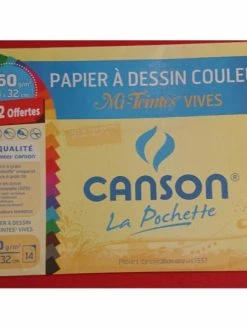Papier à Dessin à Grain Couleurs Vives Canson