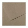Papier Dessin Mi-Teintes - 500 X 650 Mm - Gris Chiné - Canson