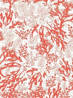 Papier Origami Clairefontaine - 3 Formats - Grand Large - 60 Feuilles -V-Zug shop papier origami clairefontaine 3 formats grand large 60 feuilles p 5