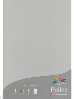 Pollen By Clairefontaine Papier Pollen A4 25 Feuilles Argent