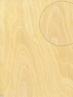 Papier Scrapbooking Bazzill - Bois - Clair - 30 X 30 Cm