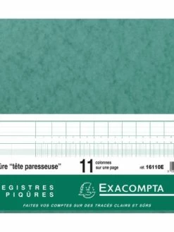 "Piqûre ""Tete Paresseuse"" 16110E - Exacompta"