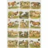 Planche De Chromo Découpis Die Cut Animaux Ferme ECLAT 7295e Carterie Collage Ernst Freihoff